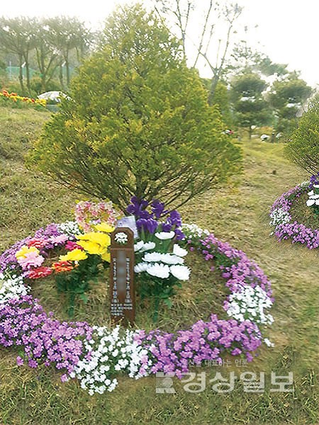 623478_305009_4210.jpg