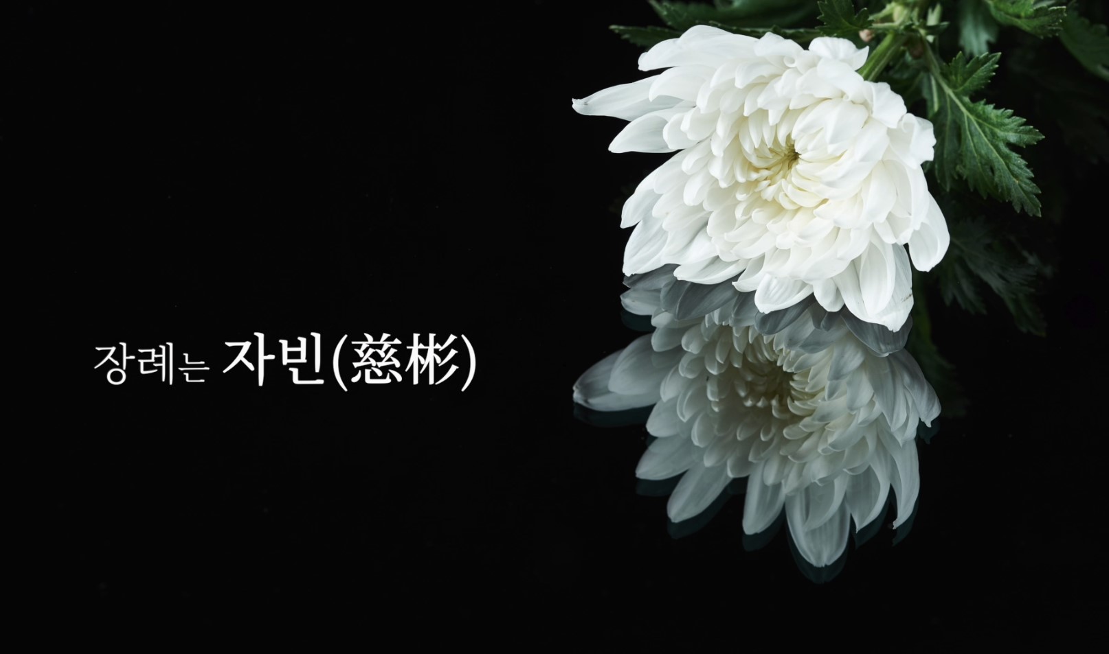화면 캡처 2022-12-05 104834.jpg