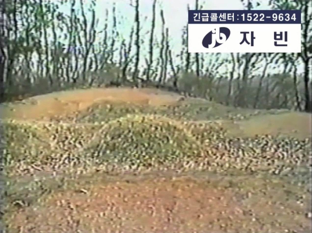 화면 캡처 2022-12-05 114638.jpg